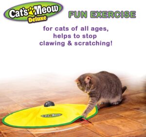 Cat’s Meow- Motorized Wand Cat Toy.